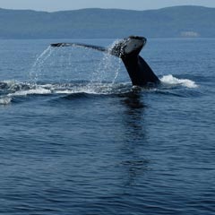 Charlevoix (Québec)