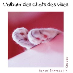 L'album photos des chats des villes