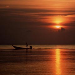 The sun