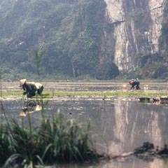 Ninh Binh