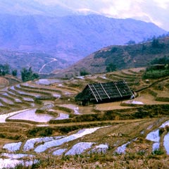 Sapa