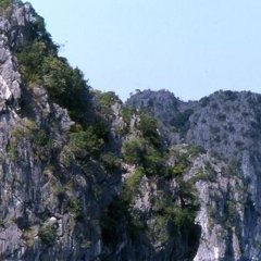 Baie d'Along - 1 - Ouverture dans une nouvelle fenêtre 