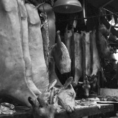 Marché - 7 - Ouverture dans une nouvelle fenêtre 