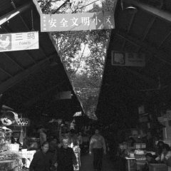 Marché - 9 - Ouverture dans une nouvelle fenêtre 
