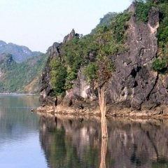 Baie d'Along - 7 - Ouverture dans une nouvelle fenêtre 