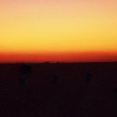 Le Rajasthan - 19 - Ouverture dans une nouvelle fenêtre 