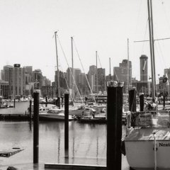 Vancouver - 7 - Ouverture dans une nouvelle fenêtre 