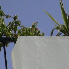 Agadir - 1 - Ouverture dans une nouvelle fenêtre 