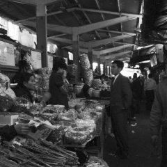 Marché - 19 - Ouverture dans une nouvelle fenêtre 