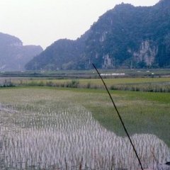 Ninh Binh - 1 - Ouverture dans une nouvelle fenêtre 