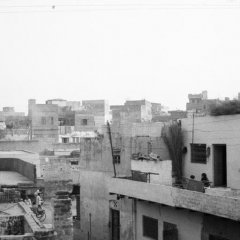 Le Rajasthan - 1 - Ouverture dans une nouvelle fenêtre 