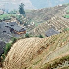 Chengyang - 5 - Ouverture dans une nouvelle fenêtre 