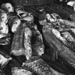 Marché - 3 - Ouverture dans une nouvelle fenêtre 