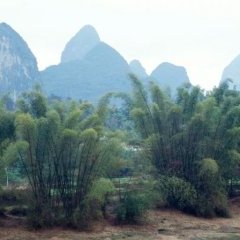 Guilin - Yangshuo - 4 - Ouverture dans une nouvelle fenêtre 