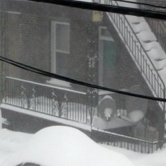 L'hiver au Québec - 19 - Ouverture dans une nouvelle fenêtre 