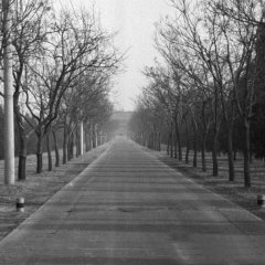 Beijing - 3 - Ouverture dans une nouvelle fenêtre 