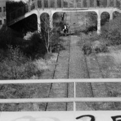 Balade à Paris en noir & blanc - 4 - Ouverture dans une nouvelle fenêtre 