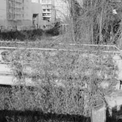 Balade à Paris en noir & blanc - 2 - Ouverture dans une nouvelle fenêtre 