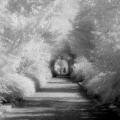 Paris via infrared - 14 - New window