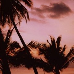 Le soleil - 9 - Ouverture dans une nouvelle fenêtre 