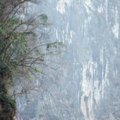 Guilin - Li River - 6 - Ouverture dans une nouvelle fenêtre 