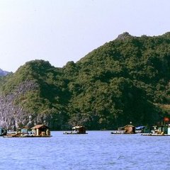 Baie d'Along - 6 - Ouverture dans une nouvelle fenêtre 