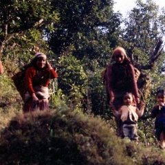 Annapurna - 22 - Ouverture dans une nouvelle fenêtre 