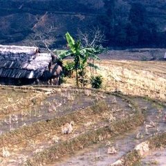 Sapa - 1 - Ouverture dans une nouvelle fenêtre 