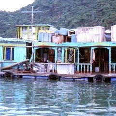 Baie d'Along - 22 - Ouverture dans une nouvelle fenêtre 