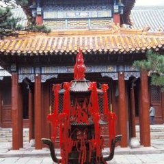 Taishan - 6 - New window