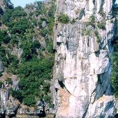 Baie d'Along - 16 - Ouverture dans une nouvelle fenêtre 