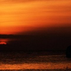 Le soleil - 13 - Ouverture dans une nouvelle fenêtre 