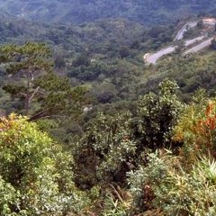 Dalat - 10 - Ouverture dans une nouvelle fenêtre 