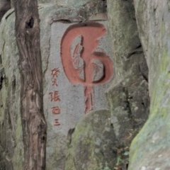 Taishan - 12 - New window