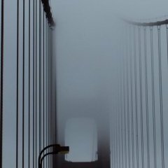 San-Francisco - 5 - Ouverture dans une nouvelle fenêtre 