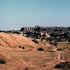 Le Rajasthan - 5 - Ouverture dans une nouvelle fenêtre 