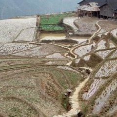 Longsheng - 11 - Ouverture dans une nouvelle fenêtre 