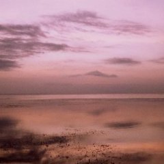 Le soleil - 8 - Ouverture dans une nouvelle fenêtre 