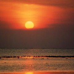 Le soleil - 4 - Ouverture dans une nouvelle fenêtre 