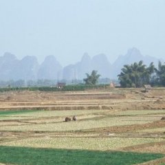 Guilin - Yangshuo - 3 - Ouverture dans une nouvelle fenêtre 