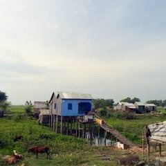 Campagne - 5 - Ouverture dans une nouvelle fenêtre 