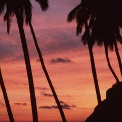 Le soleil - 1 - Ouverture dans une nouvelle fenêtre 