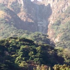 Taishan - 18 - New window