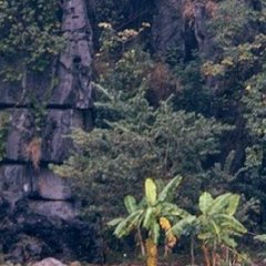 Ninh Binh - 9 - Ouverture dans une nouvelle fenêtre 