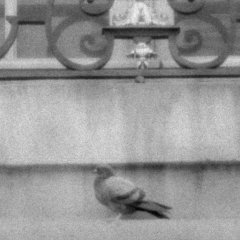 Paris via infrared - 7 - New window