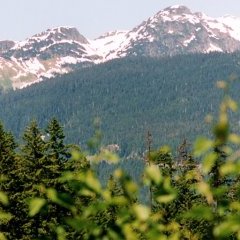 Vancouver - 21 - Ouverture dans une nouvelle fenêtre 