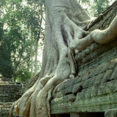 Angkor - 26 - New window