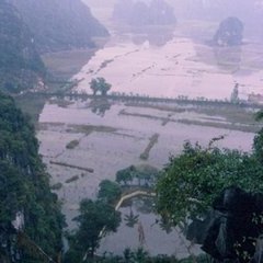 Ninh Binh - 13 - Ouverture dans une nouvelle fenêtre 