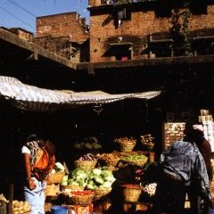 Katmandu - 3 - New window