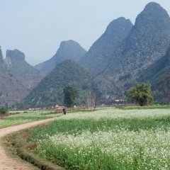 Guilin - Yangshuo - 2 - Ouverture dans une nouvelle fenêtre 